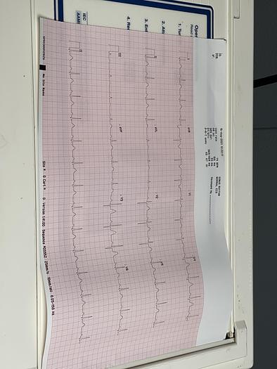 Gebraucht Mortara Instrument ELI 250