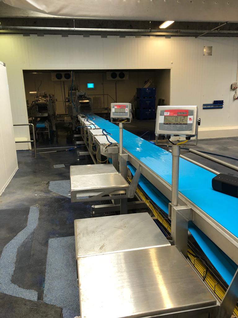 Used 2 x Baader complete cod filleting lines