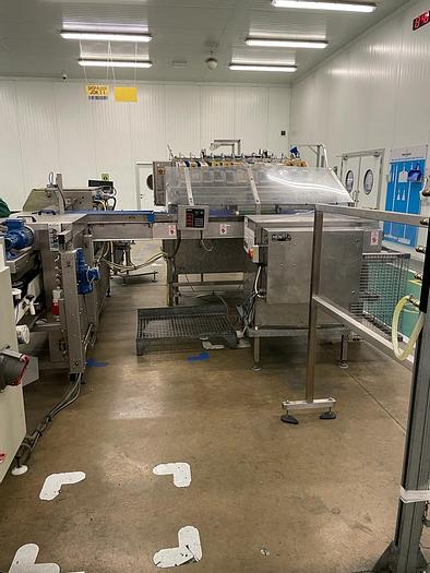 Used Newtec & Gillenkirch Apple/Pear Full Packing Line