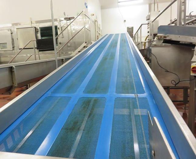 Used DUTCH TECSOURCE VEGETABLE WASHING AND STEAM BLANCHING LINE