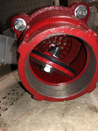 4" Painted Foot Valve