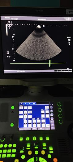 Gebraucht Toshiba PET-510 TEE Ultraschallsonde