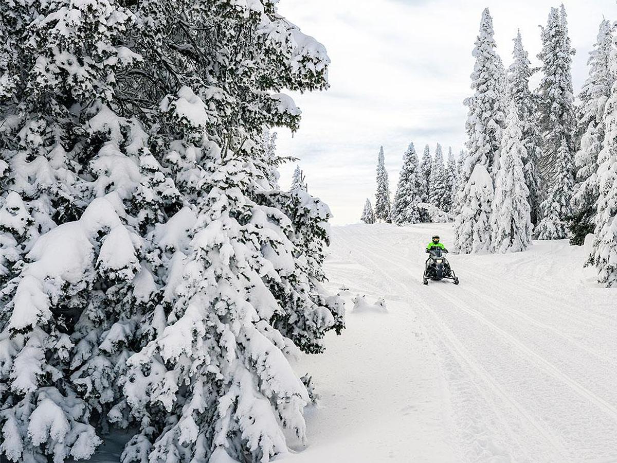 Arctic Cat XF 400