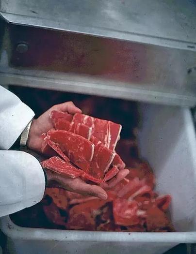 Used BIRO FBC4800 Frozen Meat Block Chipper