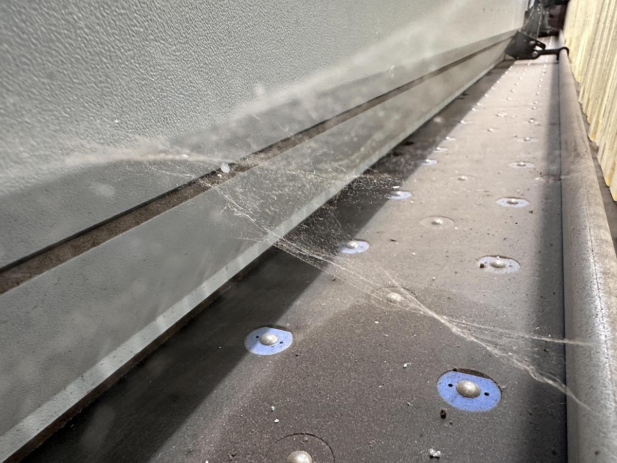 Usato HOLZMA HPP 300 38/38 PROFILINE