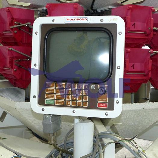 Used used Multihead weigher with 10 weighing heads MULTIPOND