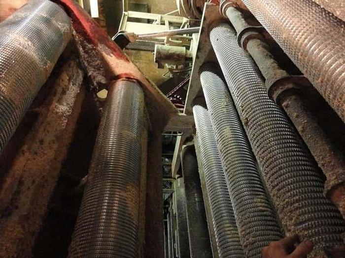 Used 9" x 55" Flare Gang Edger System