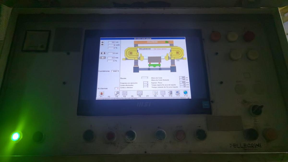 Gebraucht Pellegrini