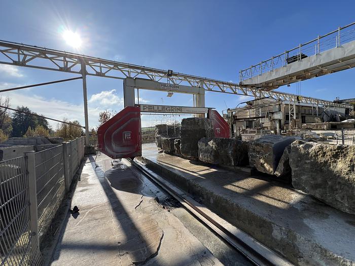 Gebraucht PELLEGRINI DF 2414-