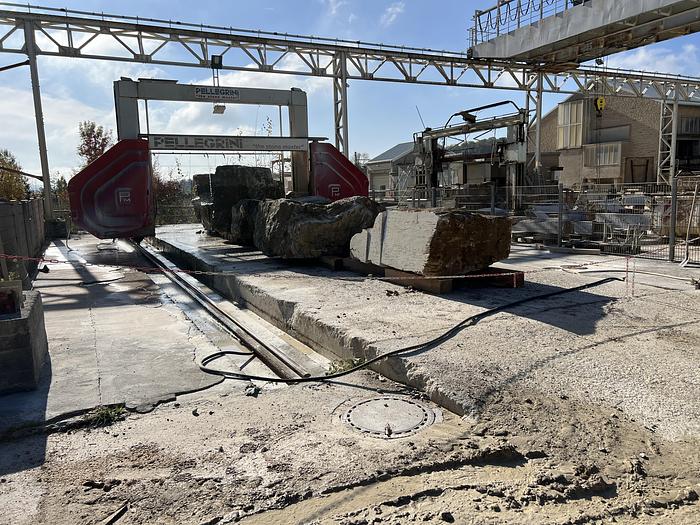 Gebraucht PELLEGRINI DF 2414-