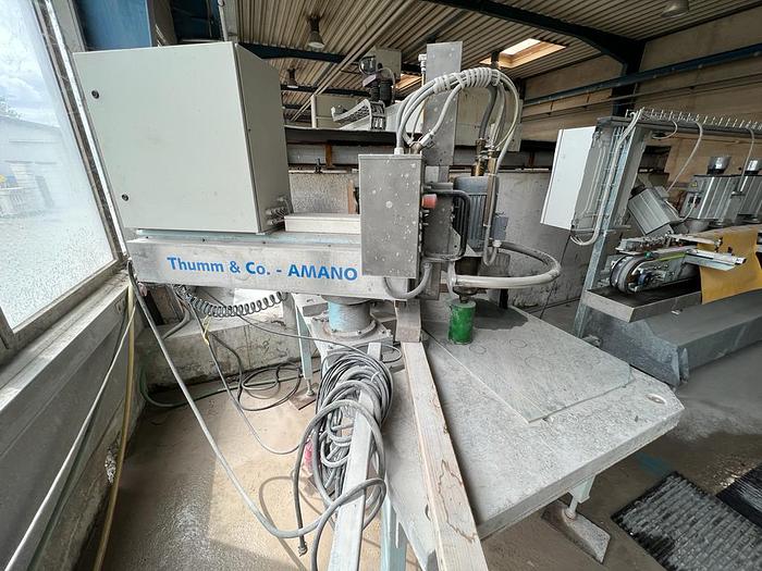 Gebraucht 2011 Thumm & Co. Amano