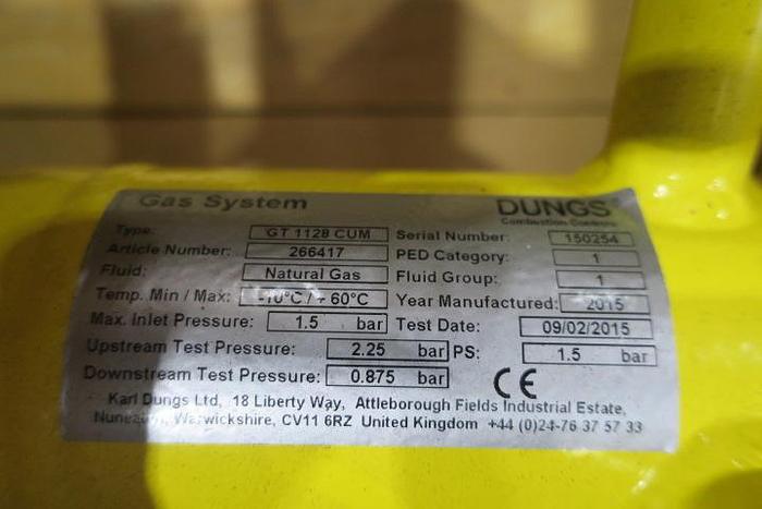 Unused Dungs DN80 GT1128CUM