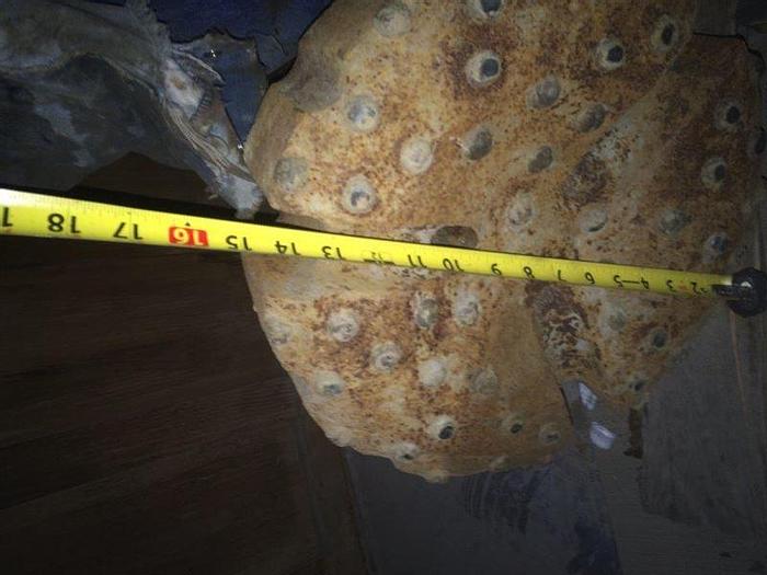 Used 14 DTH Hammer Bit