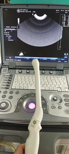 Gebraucht GE E8C-RS Transvaginal Ultraschallsonde
