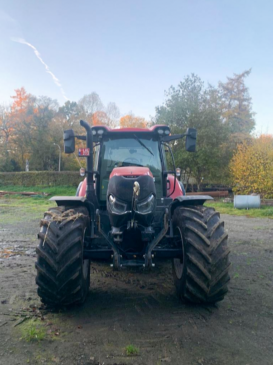 Used Case IH Maxxum 135 CVX - Tractor - 2020