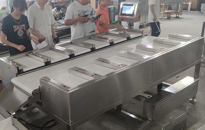 DCZ-312 Belt-type combination scale   TBD