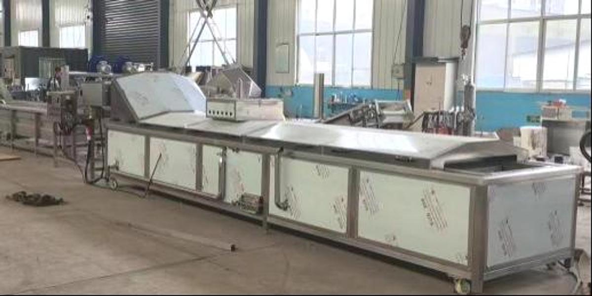 Continuous Water Blancher Line