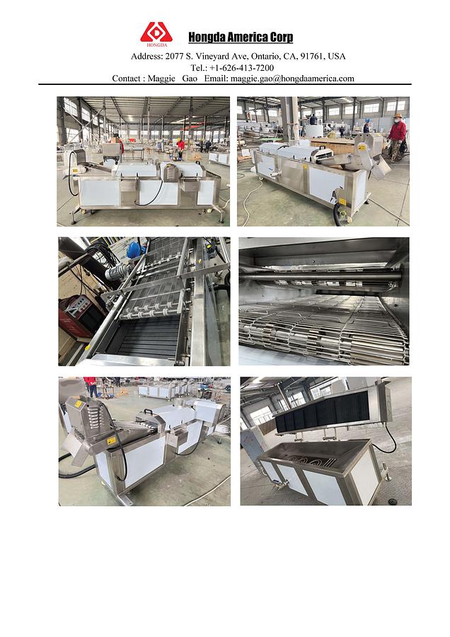 Continuous Electric Fryer