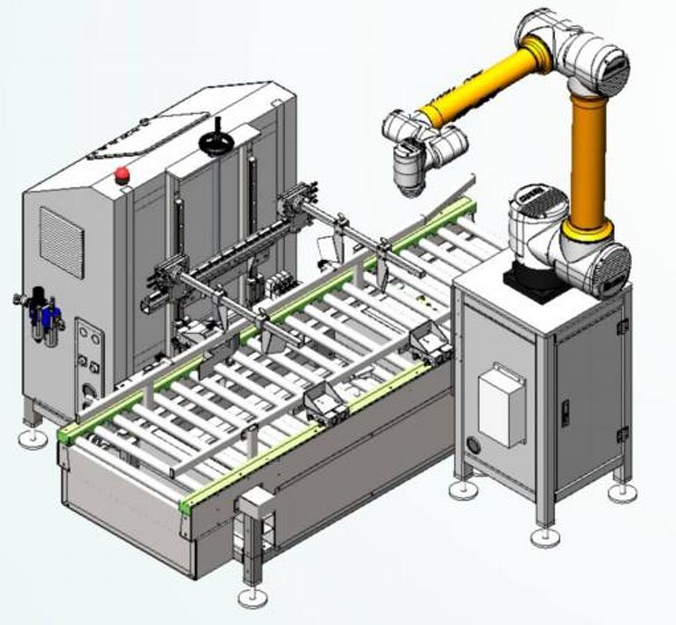 Robotic Case Packing Machine