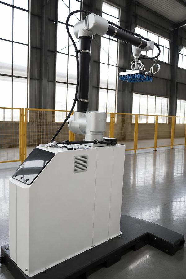 Palletizing Robot 210 – Standard Version