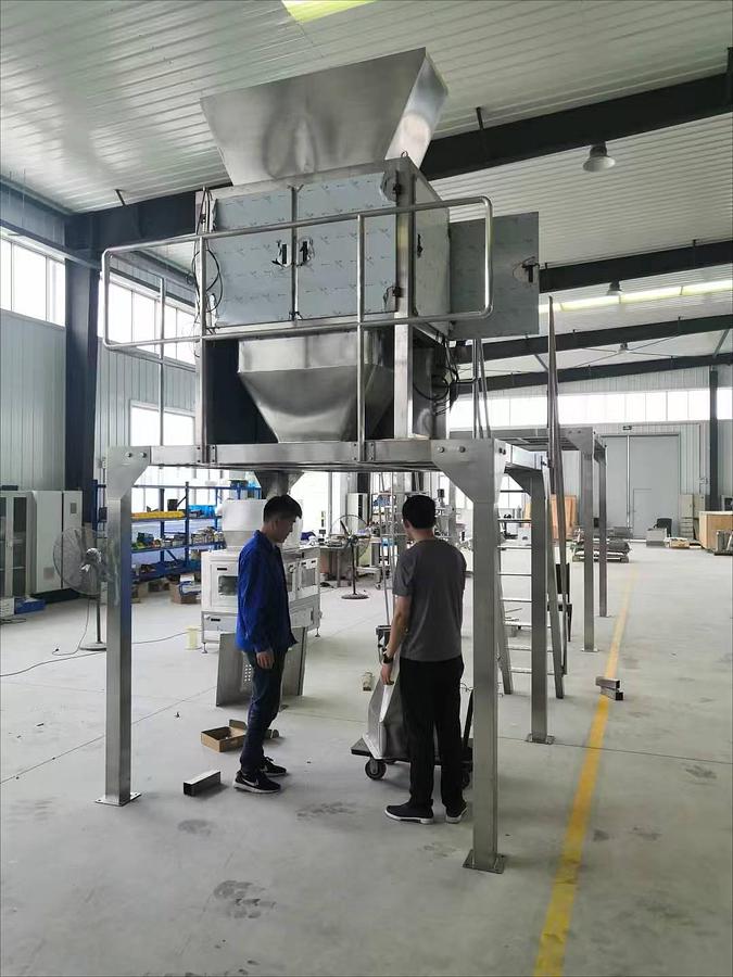 2 Heads Linear Weigher 2H100L