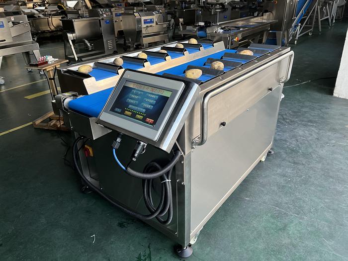 DCZ-312 Belt-type combination scale   TBD