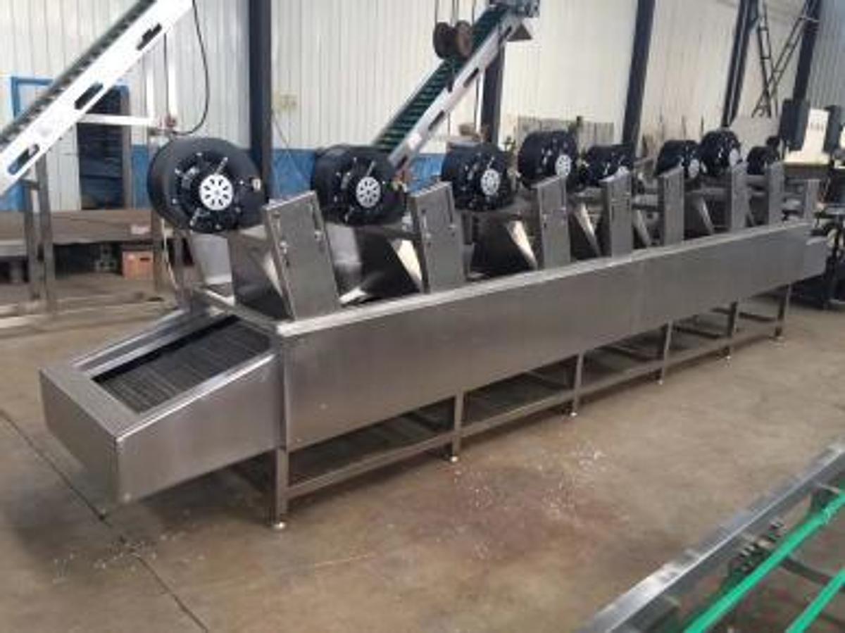 Continuous Water Blancher Line