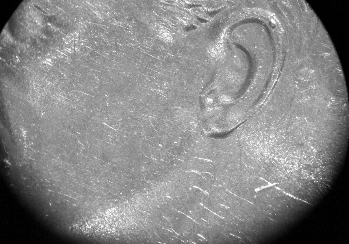 Used NIKON TRINOCULAR STEREOZOOM MICROSCOPE WITH BASE, MODEL SMZ-2T