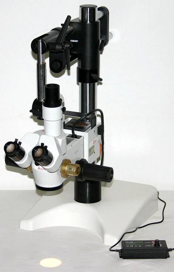 LEICA WILD HEERBRUGG TABLETOP STEREO MICROSCOPE, MODEL M650