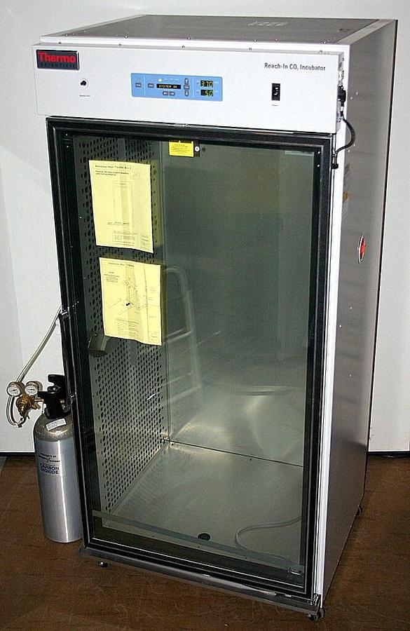 THERMO SCIENTIFIC FORMA REACH-IN CO2 INCUBATOR, MODEL 3950 29 CUBIC FT. CAPACITY