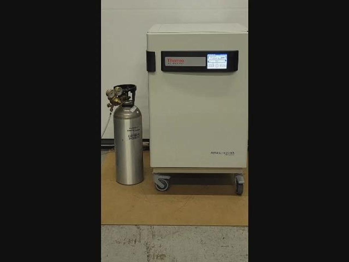 THERMO SCIENTIFIC HERACELL VIOS 160I CO2 INCUBATOR, 165L, ELECTROPOLISHED S/S