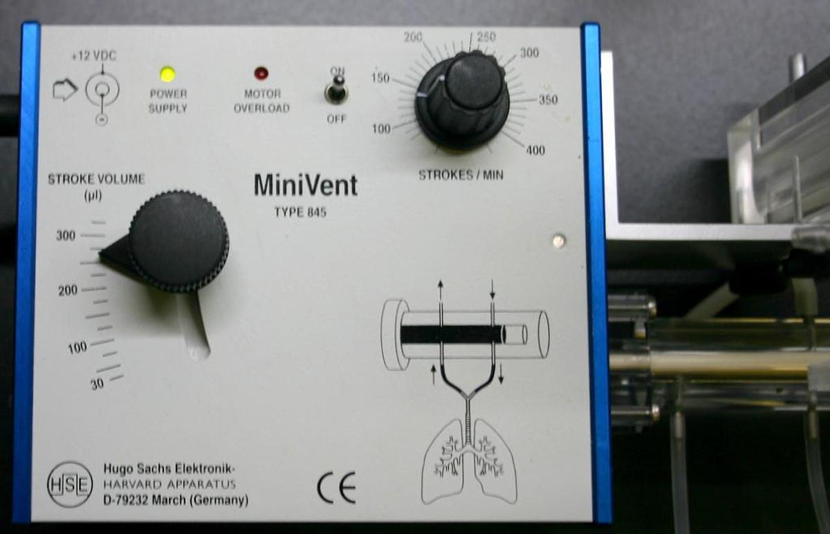 Used HSE HUGO SACHS ELEKTRONIK MOUSE VENTILATOR MINIVENT, MODEL 845 WITH NEBULIZER