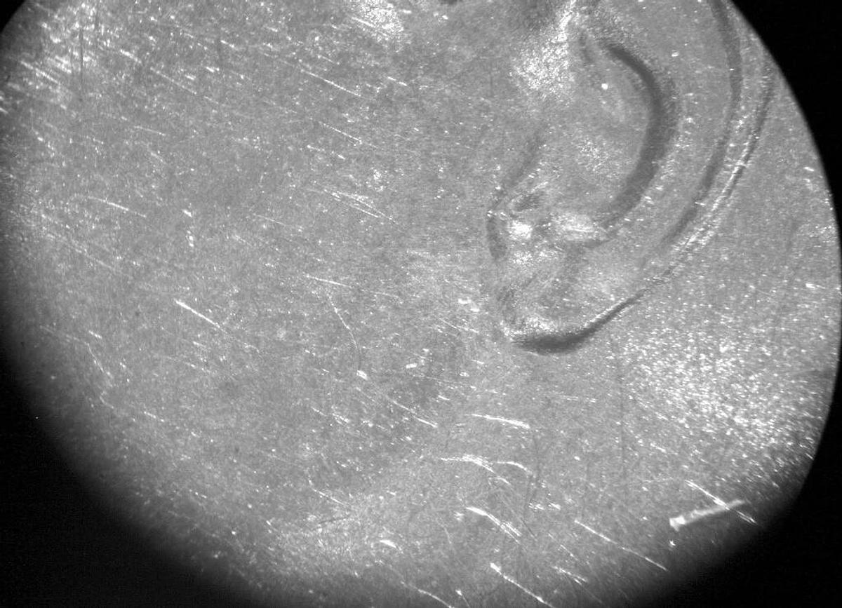 Used NIKON TRINOCULAR STEREOZOOM MICROSCOPE WITH BASE, MODEL SMZ-2T