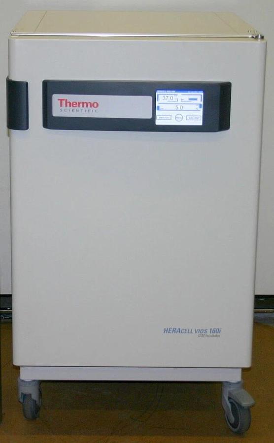 THERMO SCIENTIFIC HERACELL VIOS 160I CO2 INCUBATOR, 165L, ELECTROPOLISHED S/S