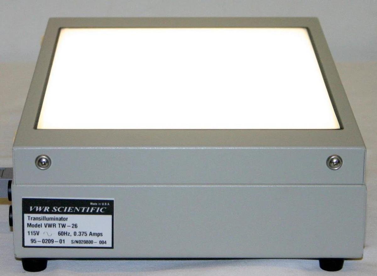 Used VWR WHITE LIGHT TRANSILLUMINATOR, MODEL TW