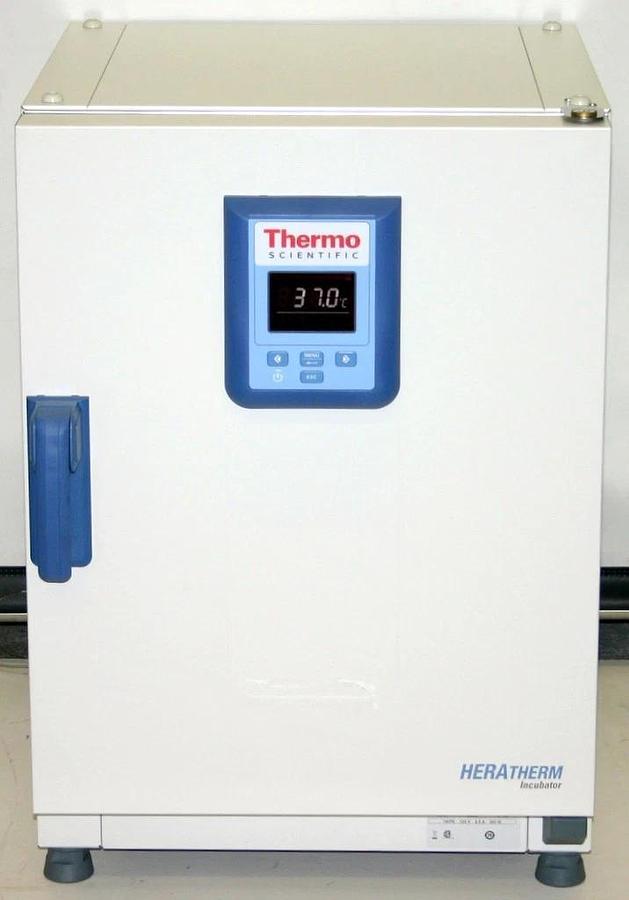 THERMO SCIENTIFIC HERATHERM INCUBATOR, MODEL IGS60, ORDER CODE 51028063