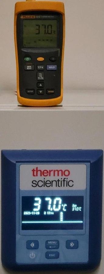 THERMO SCIENTIFIC HERATHERM REFRIGERATED INCUBATOR, MODEL IMP180