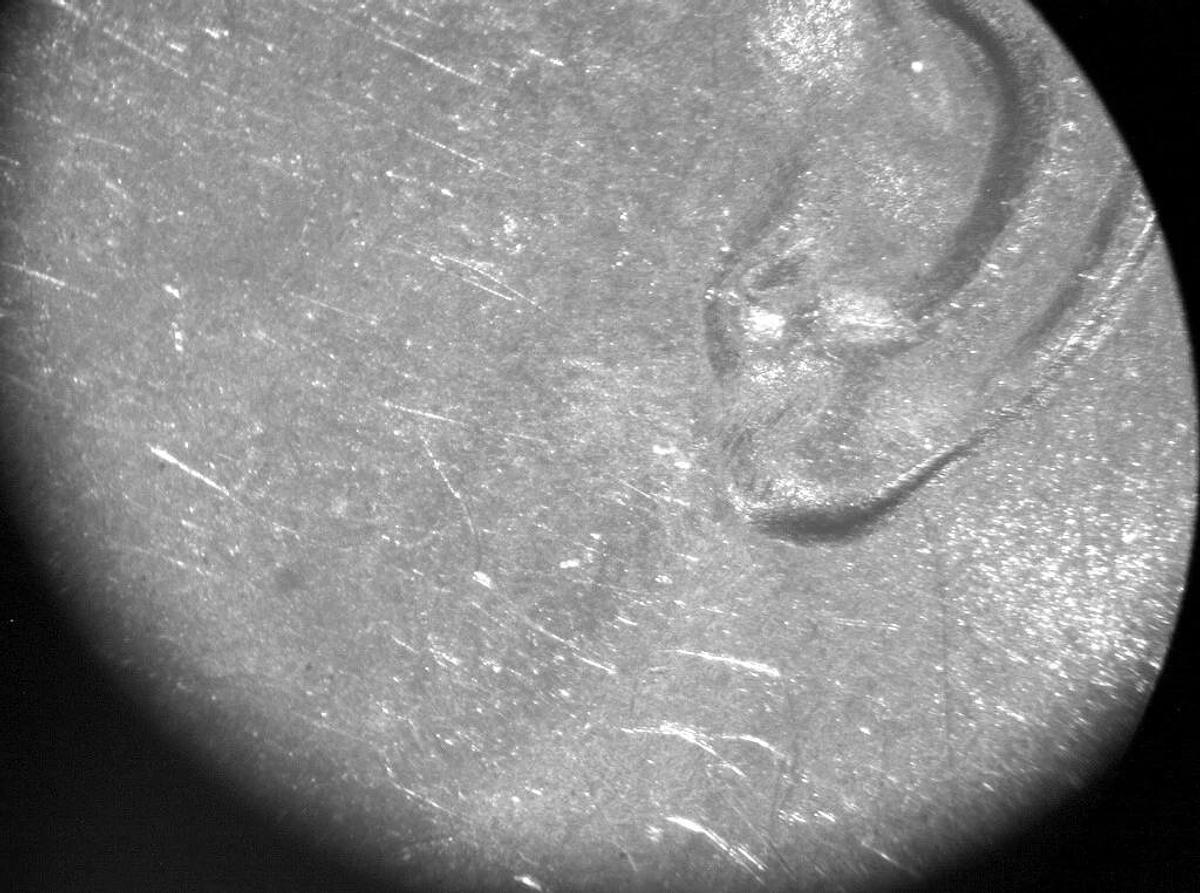 Used NIKON TRINOCULAR STEREOZOOM MICROSCOPE WITH BASE, MODEL SMZ-2T