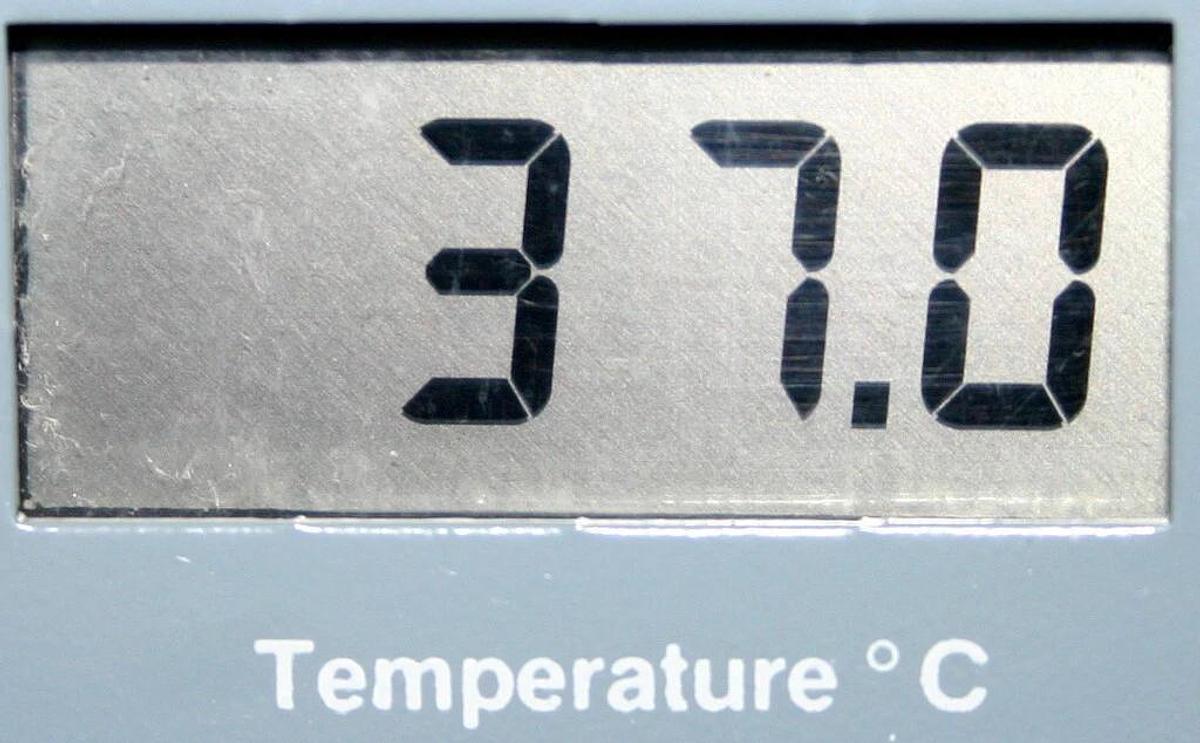 Used FORMA SCIENTIFIC REACH-IN REFRIGERATED INCUBATOR, MODEL 3927, 32 CU.FT. CAPACITY