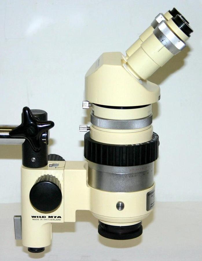Used WILD HEERBRUGG STEREO MICROSCOPE, MODEL M7A W/ ADJUSTABLE IRIS, STAND & LIGHT