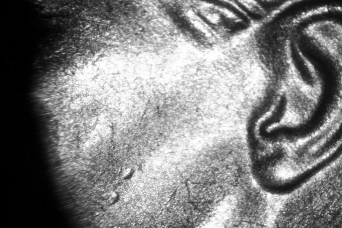 LEICA WILD HEERBRUGG TABLETOP STEREO MICROSCOPE, MODEL M650