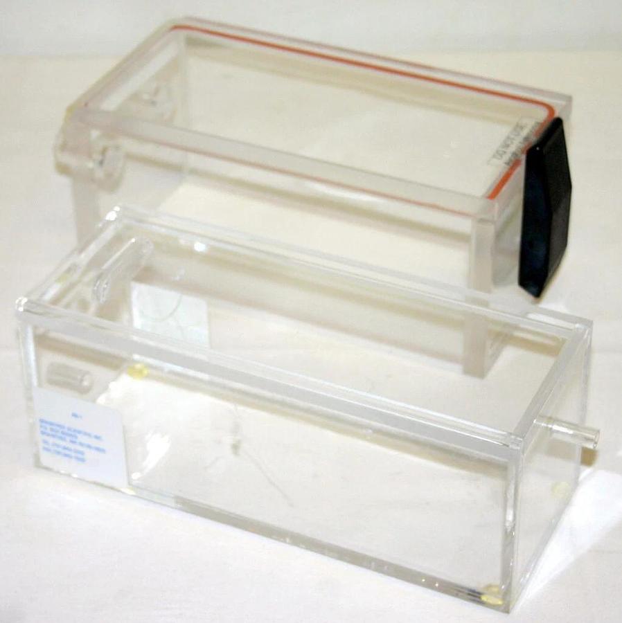 Used BRAINTREE SCIENTIFIC VETEQUIP ANESTHESIZING BOX AND INDUCTION CHAMBER