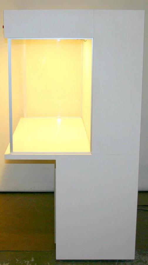 Used LAMINAIRE HORIZONTAL LAMINAR FLOW HOOD, MODEL 430-CS