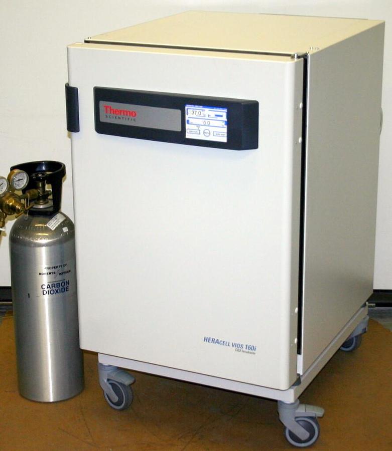 THERMO SCIENTIFIC HERACELL VIOS 160I CO2 INCUBATOR, 165L, ELECTROPOLISHED S/S