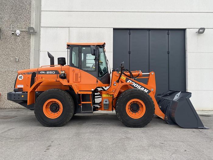 Usato 2015 DOOSAN DL 250-3