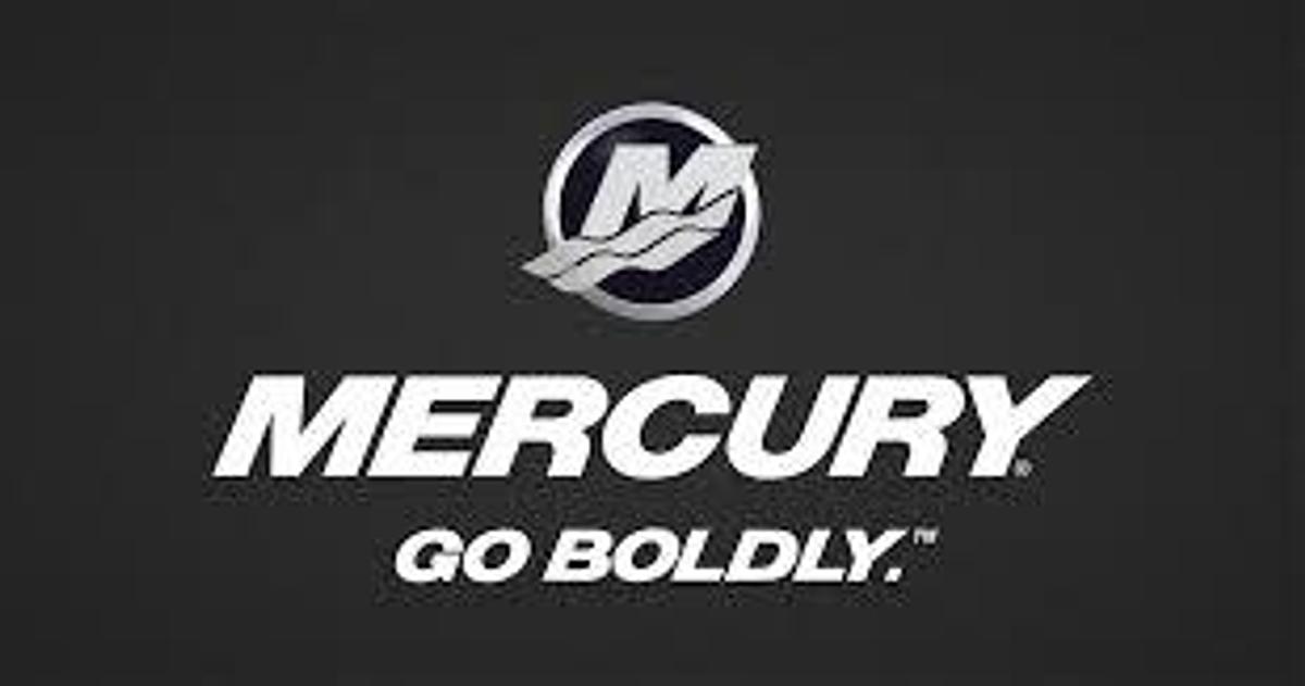 2022 Mercury ME 25ELHPT EFI 4S