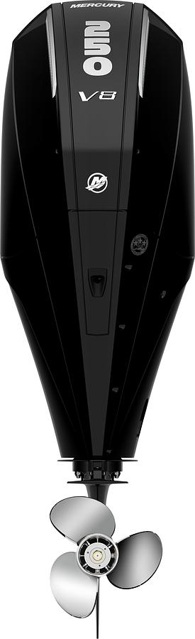 2022 Mercury 250L 4S