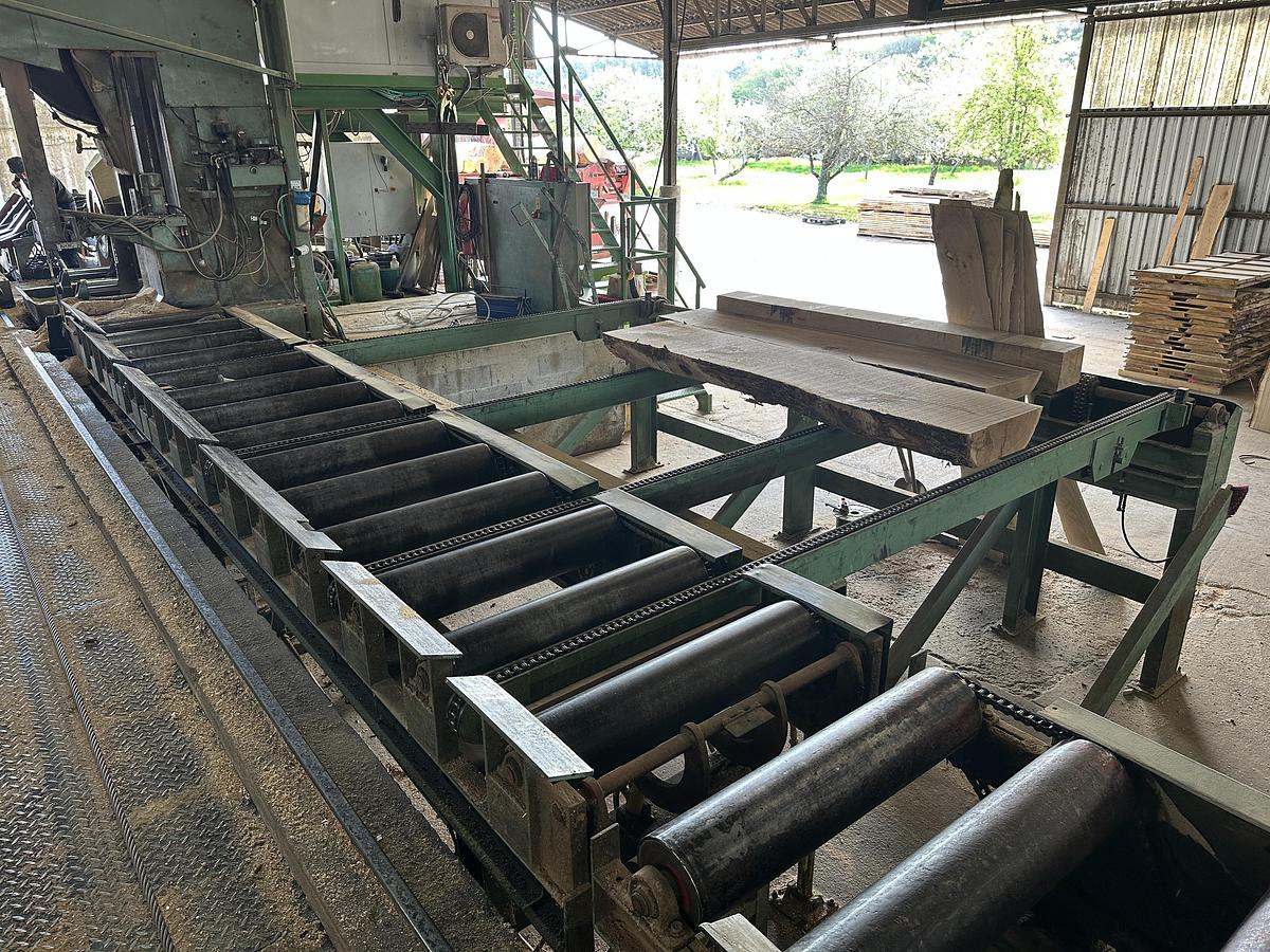 Gebruikt Primultini SGA-CFF-IEB