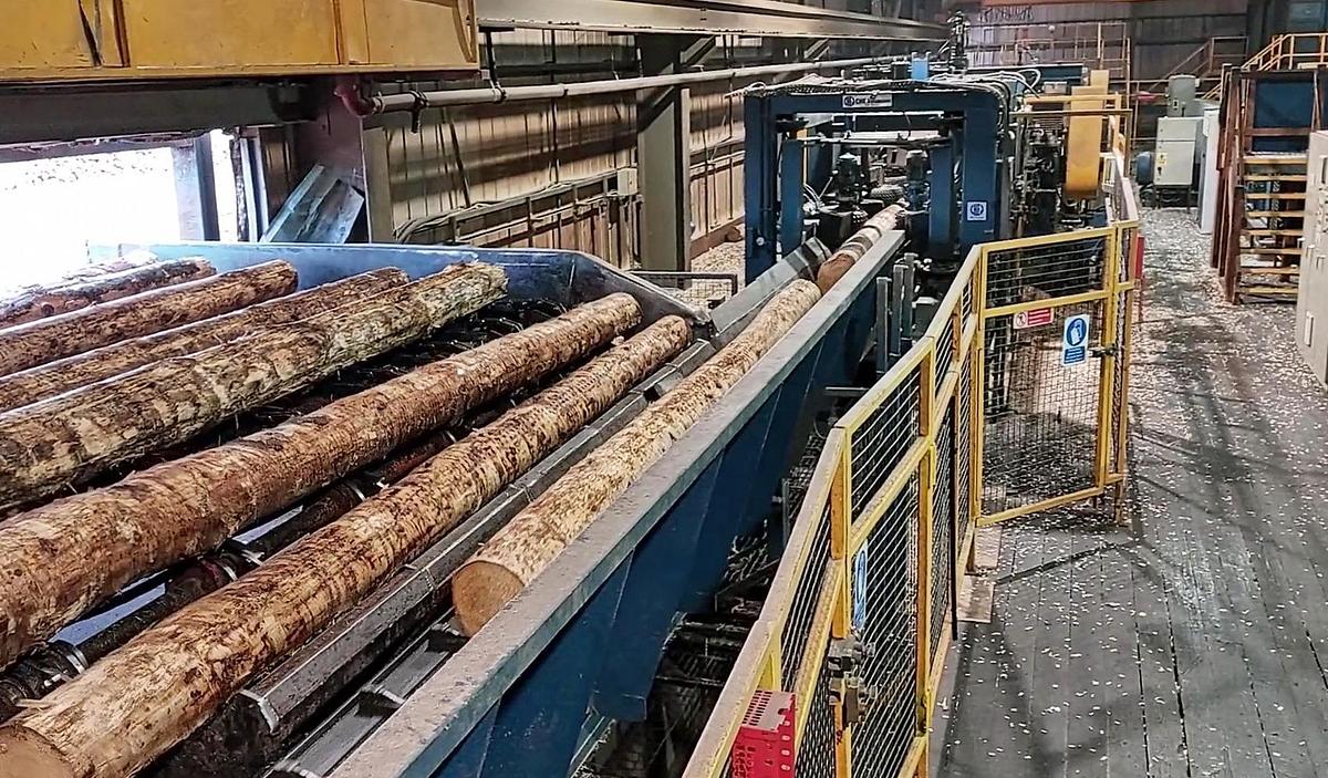 Gebruikt USNR sawmill + sorting