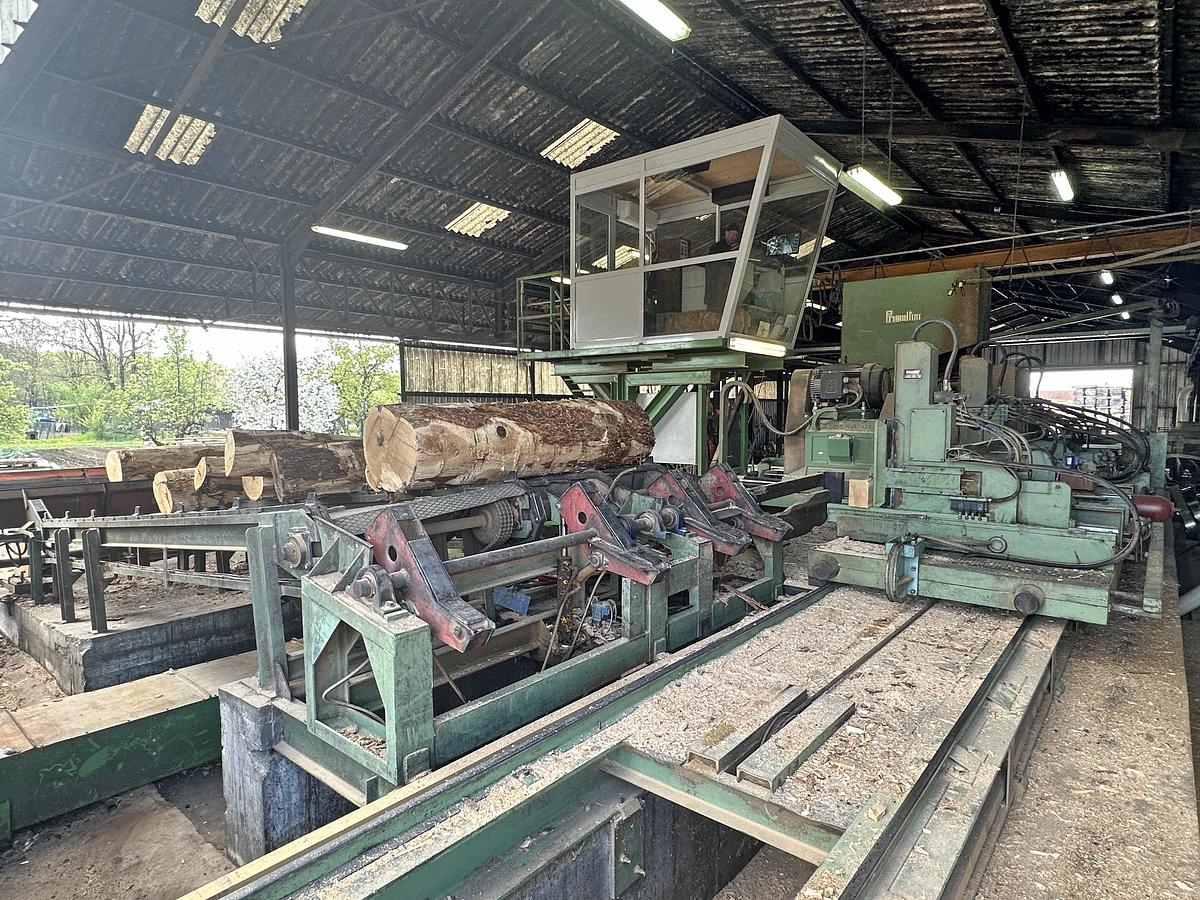 Gebruikt Primultini SGA-CFF-IEB